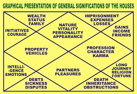 Precise Jyotish Birth Chart Jyotish Chart How To Read Bhava