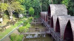 Ini adalah keajaiban, kata moura. Visiting Kutai Kartanegara Informasi Pariwisata Kabupaten Kutai Kertanegara Visitingkutaikartanegara Com