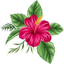 Snimok Ekrana 2017 07 14 V 1 21 04 Png Liked On Polyvore Featuring Flowers And Tropical Flower Drawing Flower Painting Flower Clipart