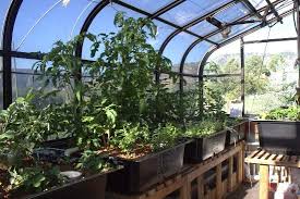 Here are some tips for starting an aquaponics garden of your own: Aquaponic Gardening Growing Fish And Vegetables Together Mother Earth News
