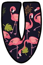 Birds That Start With The Letter V Buchstabe Letter V Festa De Aniversario Flamingo Flamingo Festa Aniversario