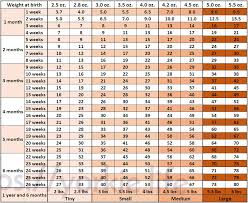 Yorkie Growth Chart And Yorkshire Terrier Development Stages