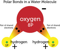 Covalent bonding is more complex than ionic bonding, because of the dual principles of bond saturation and angular dependence. Polarity Ck 12 Foundation
