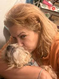 Don't leave me Mom!! I am travelling wd you😇 #mainecoon #mainecoonlife