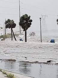 Maybe you would like to learn more about one of these? The Owner Of A Houseboat Restaurant In Panama City Describes Watching Hurricane Michael Wash His Business Away The New Yorker