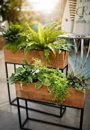 West Coast Gardens Destination Garden Centre In Surrey Bc House Plants Indoor Indoor Plants Plant Decor Indoor