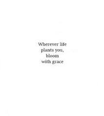 Wherever Life Plants You Bloom With Grace Such A Great Quote To Always Remember No Matt Words Quotes Short Positive Quotes Inspirational Quotes Motivation