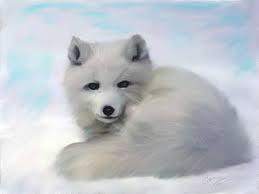 Arctic Fox Painting By Shere Crossman Find over 100+ of the best free arctic fox images.
