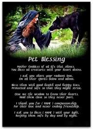 I believe prayer creates positive energy in the world, and i wanted that for joey. Real Magic Animal Spells For Our Fur Babies Protection And Healing Hubpages
