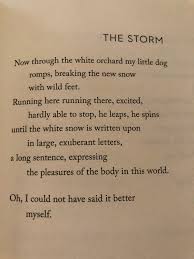 Mary Oliver The Storm Mary Oliver Words Of Wisdom Words
