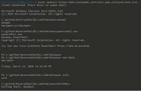 Github Limbenjamin Reverseshelldll C Windows Reverse Shell Universal Dll Hijack Ssl Encryption Statically Linked