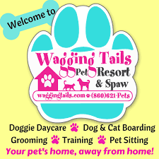 Wagging Tails Pet Resort Spaw Pet Sitting Mobile Grooming - Carecom Wolcott Ct