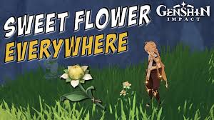 Bai sells a lot of materials, including silk flowers. Genshin Impact Sweet Flower Locations Close To Waypoints Youtube
