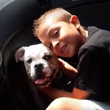 Ya 15 años hijo mío @santiagozapatar19 Feliz cumpleaños 🎂🎉🎊🎁 me siento  muy orgulloso de ti hijo, de tu buen corazón, de tu nobleza, tu  inteligencia, de tu sabiduría, del amor que le