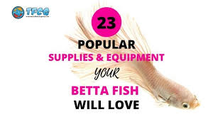 This is the 240volt product with an australian plug. 23 Popular Betta Fish Supplies Your Pet Will Love 2021