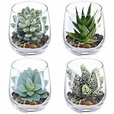 Artificial Flowers Supla 4 Set Fake Succulent Plants Echeveria Terrarium Glass 1000 Sukulent Ekimi Yapay Cicekler Etli Yaprakli Bitki Bahcesi