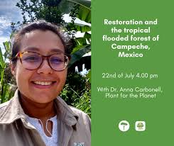 International Tree Foundation