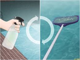 3 Manieres De Empecher Les Insectes D Infester Une Piscine