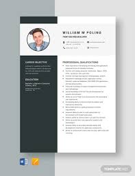13 Web Developer Resume Templates Doc Pdf Free Premium Templates
