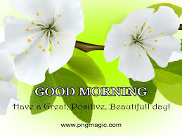 You will surely love good morning hd wallpapers here below gallery. Good Morning Wishes Message Image With Flowers 1000 Free Download Vector Image Png Psd Files