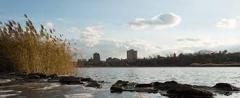 Rent a car laguardia new york. Laguardia Airport Lga Car Rental Avis Rent A Car