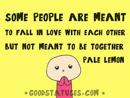 Falling In Love Good Quotes Quotesgram