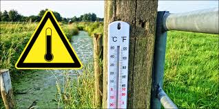 The college's practice is that the. Niosh And Private Groups Turn Up The Temperature On Osha For A Heat Stress Standard Safety Law Matters