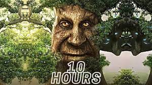 Wise Mystical Tree 10 Hours - YouTube
