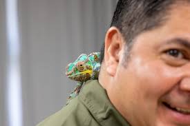 Beware of the sneaky energy vampires in your home! 🧛🪫 Things like old  appliances and unused electronics can slowly drain energy and drive up your  utility bill. Follow these tips to zap