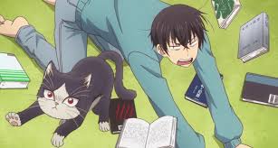 Watch my roommate is a cat english dubbed & subbed. My Roommate Is A Cat Series Review From One Cat Person To Another
