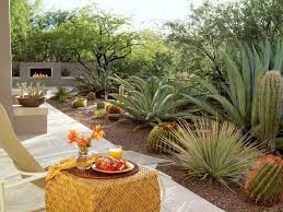 How To Give Your Desert Backyard Southwestern Flair I Love The Specimens But They Are Too Big For The Desert Backyard Large Backyard Landscaping Desert Garden