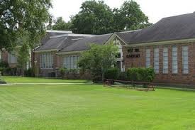 Image result for Picayunes