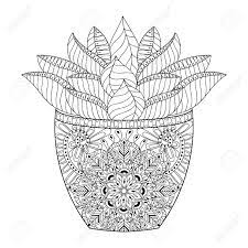 Welcome to our cacti database where we list many varieties of cacti. Succulent Cactus Illustration Outline Desert Plant Texture In Royalty Free Cliparts Vectors And Stock Illustration Image 65697599