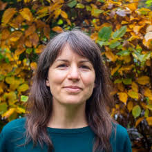 Urban design, transport, and health