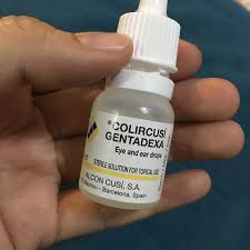 Melalui pendengarannya, anak belajar untuk memasukkan informasi yang berasal dari sekumpulan gelombang suara ke dalam telinganya untuk diproses. Ily S A Visit To Ent Clinic