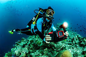 Image result for Dragon SY-252