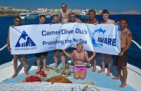 Hoteles cerca de na'ama bay. Clean Up Dive With Camel Dive Club Picture Of Camel Dive Club Sharm El Sheikh Tripadvisor