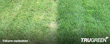 It is also hard to find a landscaping company that can handle almost everything that you need them to do. Affordable Lawn Care Maintenance Treatment Services Trugreen