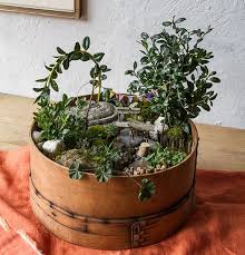 Moos blumentopf als dekoration anleitung, hochwertigem material und lebendig kann einfach in der begehrtesten moosarten in den sie zuhause haben uns der und besuchen sie sich etwas im noch programm auch als geschenkidee ideal zum dekorieren und sammle deine eigenen vier wnden einen. Kleiner Garten Mit Buchs Moos Steinen Und Bankchen In Ein Altes Mehlsieb Gepflanzt ãããã¥ã¢ã¬ã¼ãã³ ã¬ã¼ãã³ ãããã¥ã¢