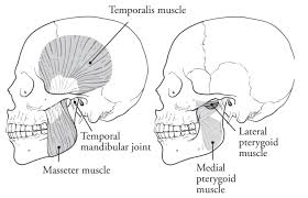 Image result for Trismus