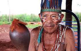 The free live lingua online guarani courses are here to make language learning accessible to everybody. We Guarani Are Fighting For Our Sacred Land Survival International