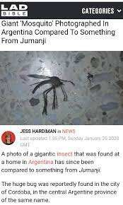 The person filming the mosquito tornado can be heard saying: Giant Mosquito 9gag