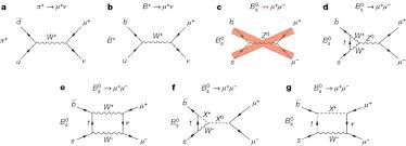 Check spelling or type a new query. Observation Of The Rare B S 0 Âµ Âµ Decay From The Combined Analysis Of Cms And Lhcb Data Nature