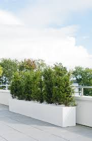 Keep your plants safe in style with outdoor pots and planters from at home. Window Box Fiberstone Low Large White H10 L80 W15 Cm Planter By Idealist Premium Balcony Glossy 12 Ltrs Cap From 92 99 Getpotted Com