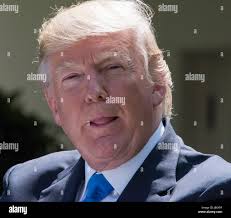 Klaus j hi-res stock photography and images