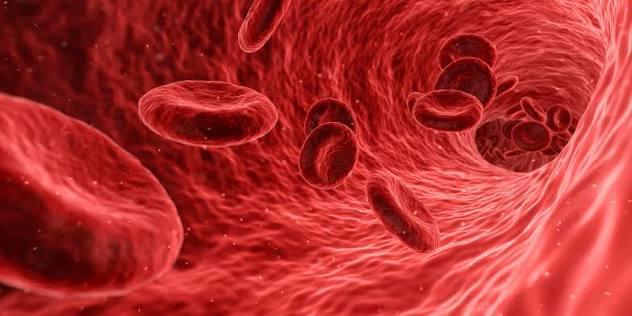 Functions of blood: transport around the body - NHS Blood Donation
