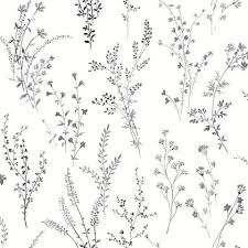 Burke décor also carries black and white pattern wallpaper that is perfect for teens, featuring fun prints that would look great on a focal wall or in their bath. Fh4026 Black White Wildflower Sprigs Floral Wallpaper