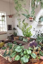 Plantas Para Sala 73 Ideias E Especies Para Cultivar Em Casa Procura ideias para decorar a sua sala de estar e de jantar, neste novo ano 2018?! plantas para sala 73 ideias e