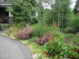 Lawnless In Mill Creek Front Yard Landscaping Design Xeriscape Front Yard Xeriscape Landscaping