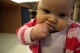 The Red Deer: July 2009